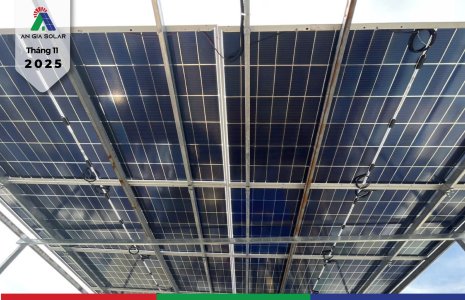 Dương Duy Quan - HVB-01