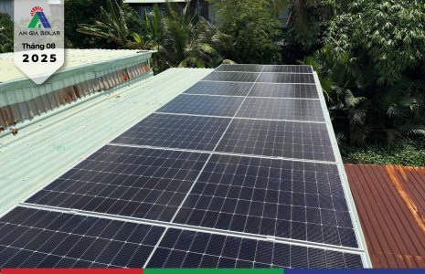 Trương Kim Ngân-01